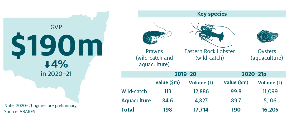 Shows that the combined value of New South Wales (NSW) fisheries and aquaculture production decreased by 4% in 2020-21 to $190 million. The key species produced in NSW are Prawns (wild-catch and aquaculture), Eastern Rock Lobster (wild-catch) and Oysters (aquaculture).