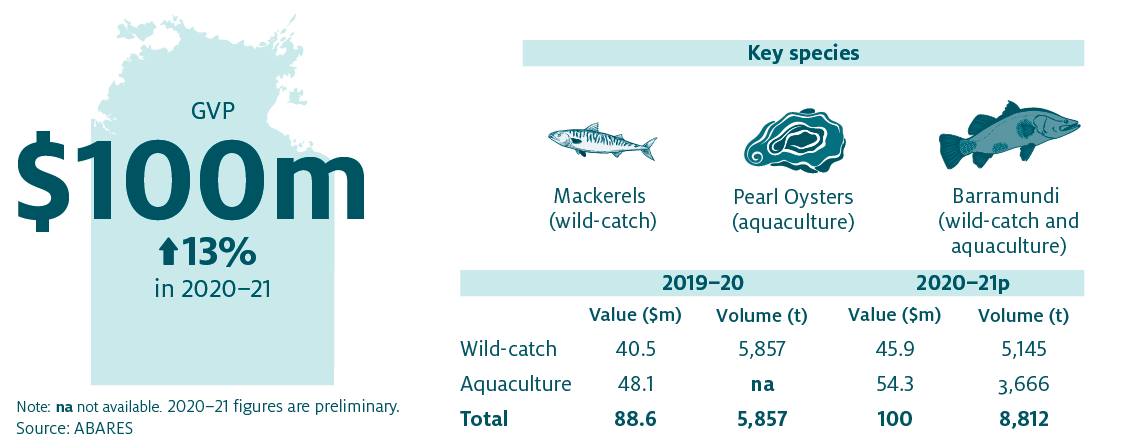 Shows that the combined value of Northern Territory’s fisheries and aquaculture production increased by 13% in 2020–21 to $100 million. The key species produced in the Northern Territory are Mackerels (wild-catch), Pearl Oysters (aquaculture) and Barramundi (wild-catch and aquaculture).