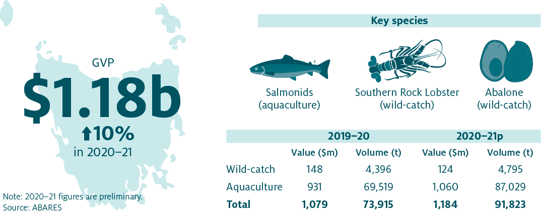 Shows that the combined value of Tasmania’s fisheries and aquaculture production increased by 10% in 2020–21 to $1.18 billion. The key species produced in Tasmania are Salmonids (aquaculture), Southern Rock Lobster (wild-catch) and Abalone (wild-catch).