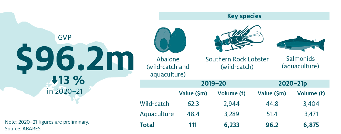 Shows that the combined value of Victoria’s fisheries and aquaculture production decreased by 13% in 2020–21 to $96.2 million. The key species produced in Victoria are Abalone (wild-catch and aquaculture), Southern Rock Lobster (wild-catch) and Salmonids (aquaculture). 