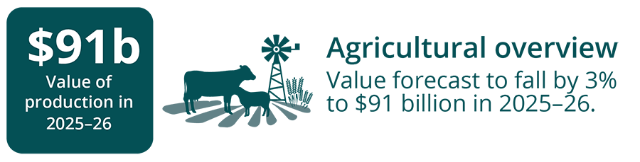 Agricultural overview - value forecast to fall by 3% to $91 billion in 2025-26.