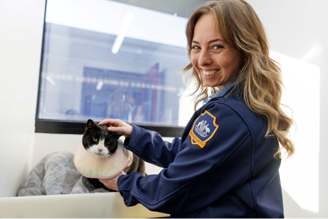 A Female biosecurity officer holding and patting a cat on the head.