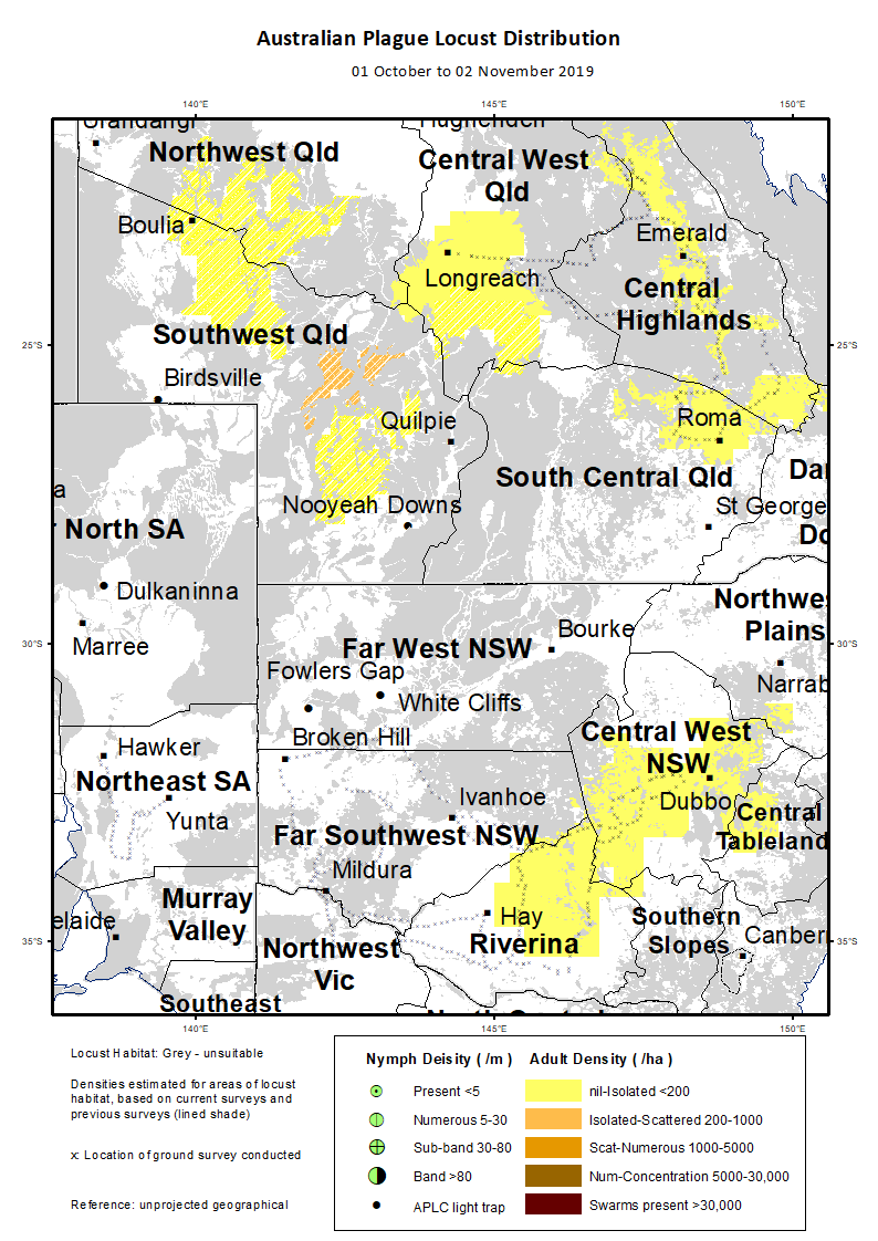 Map of Australian plague locust distribution 1 October to 2 November 2019