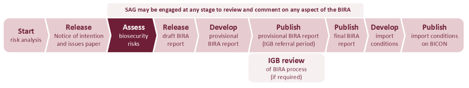 assess risk analysis flowchart