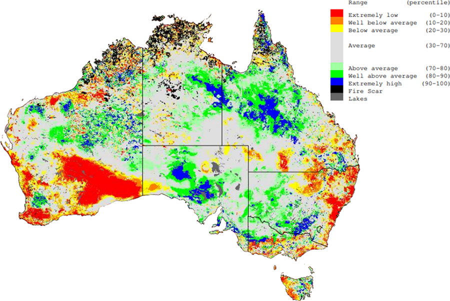 This map of Australia shows the total standing dry matter across Australia at 31 July 2023. It shows that pasture availability remains relatively high, especially across Northern Australia.