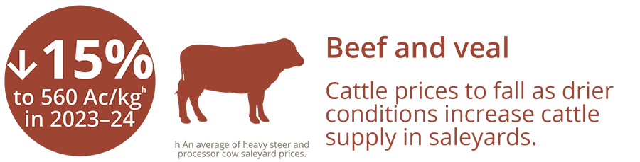 This infographic shows that cattle prices are forecast to fall by 15% to 560 cents per kilogram as drier conditions increase cattle supply in saleyards.
