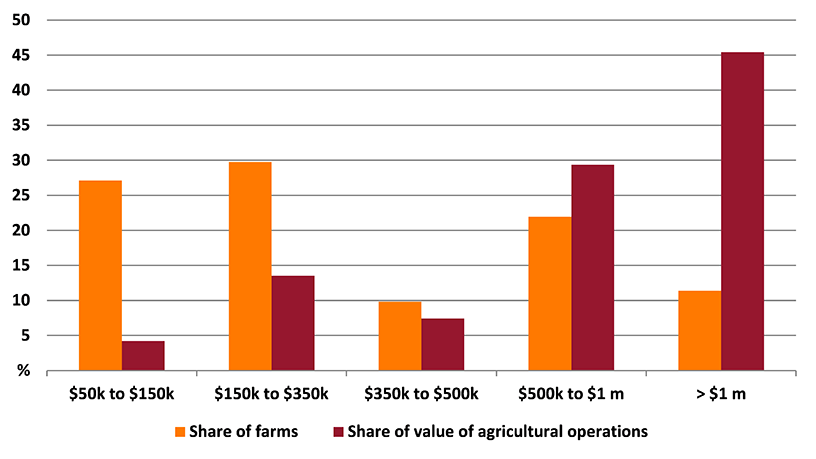 Shows share of farms and share of value of agricultural operations in the Bendigo region. The figure is discussed in the previous paragraph.