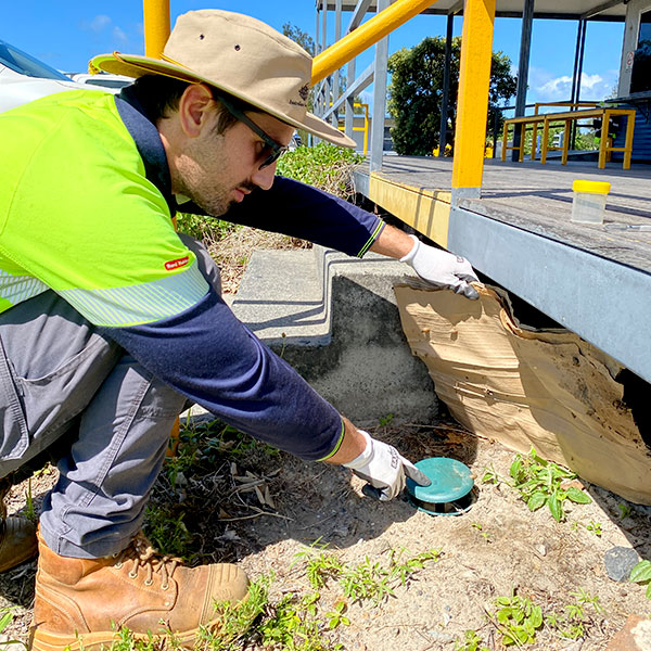 Technical Response’s Rudi Hoffman sets out the first of the snail traps at the Port of Brisbane