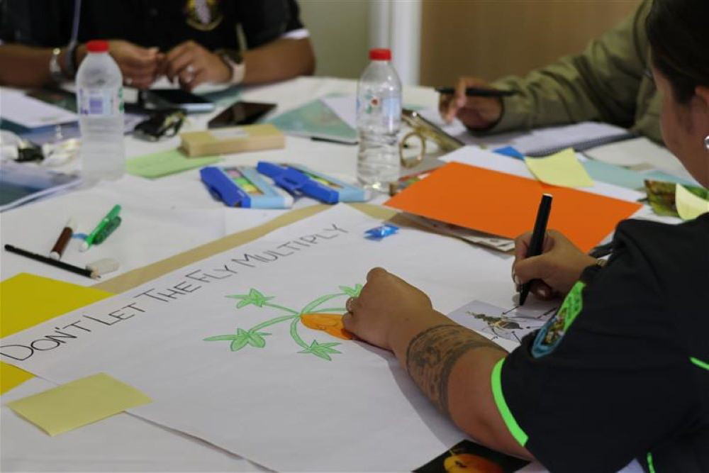 A First Nations biosecurity student designing a biosecurity poster about pest flys.