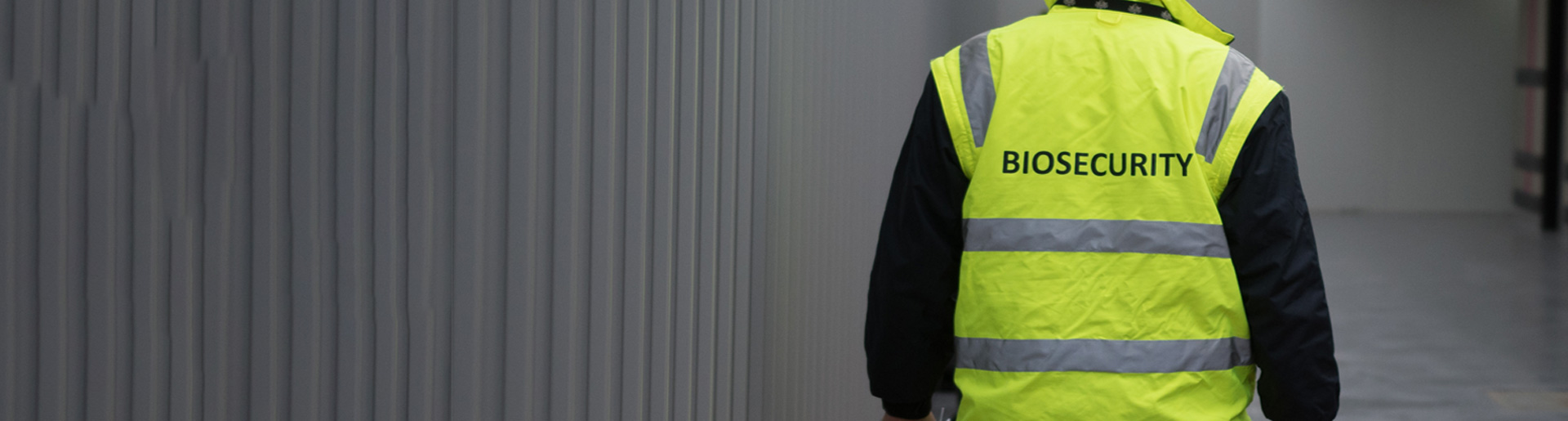 Image of the back torso of a person wearing a high visibility vest; they are walking away from the camera