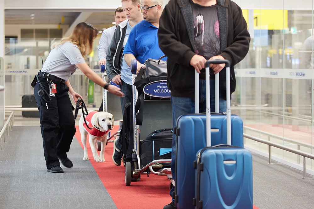 FMD Biosecurity Response Zone Extended To June 2023 DAFF
