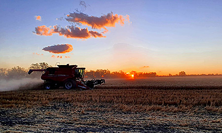 term paper about sustainable agriculture Decorative image