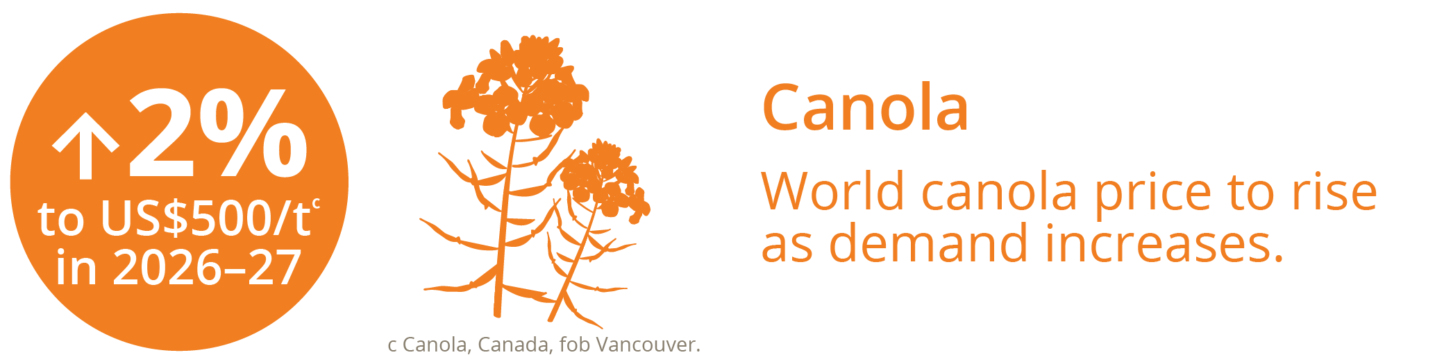 Canola infographic