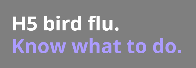 H5 bird flu. Know what to do.