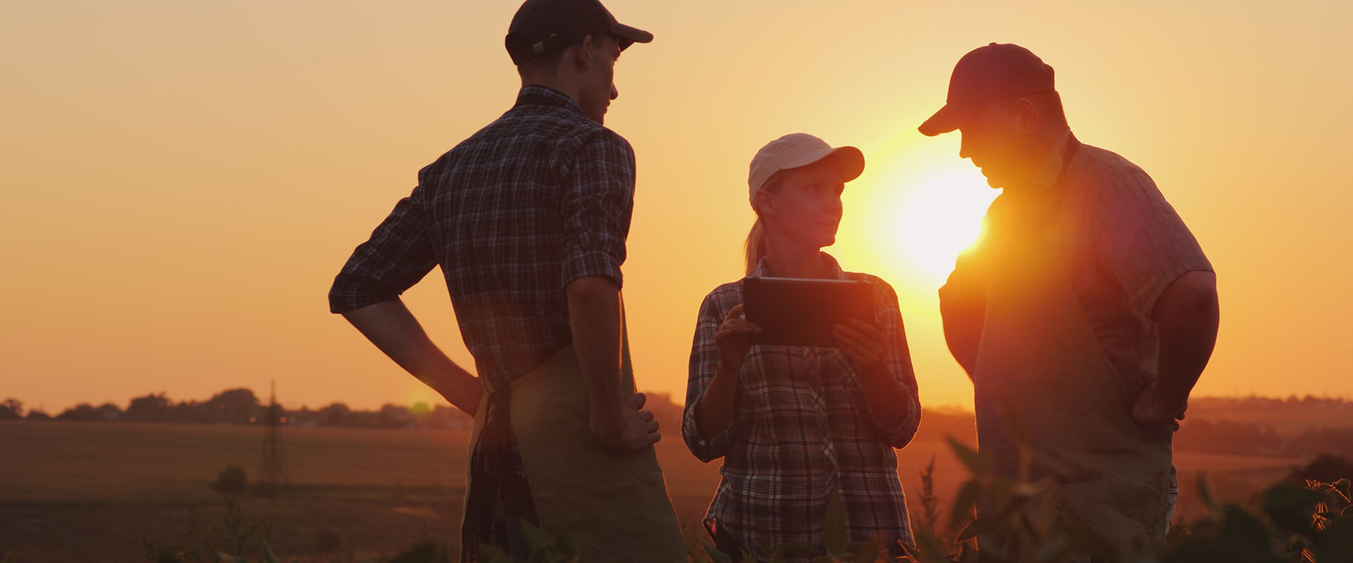 3 farmers in a field in silhouette