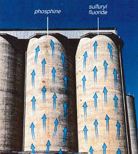 Trail assessing grain refrigeration and fumigation at a GrainCorp site.