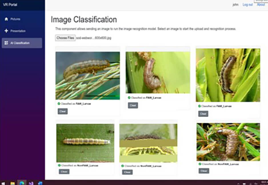 The established AI tool capable to distinguish FAW and Non FAW Larvae