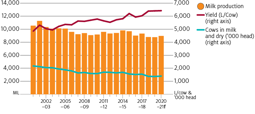 Milk production has been decreasing an average 0.8% each year. Influenced by yield increasing 1.3% each year and milking cow numbers falling 2% each year.
