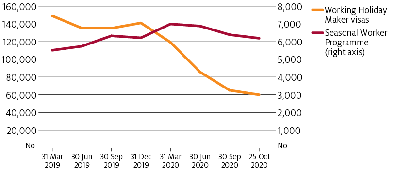 The number of working holiday-maker visas granted has fallen from 140,000 in late 2019 to 60,000 by September 2020. This is due to the COVID-19 international travel restrictions. Seasonal Worker Programme visas have remained relatively unchanged during this period.