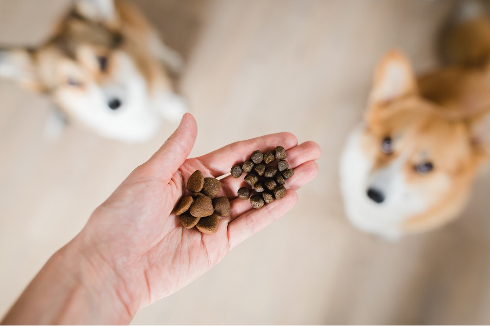 Dodgy Pet Food Sent To The Doghouse DAFF
