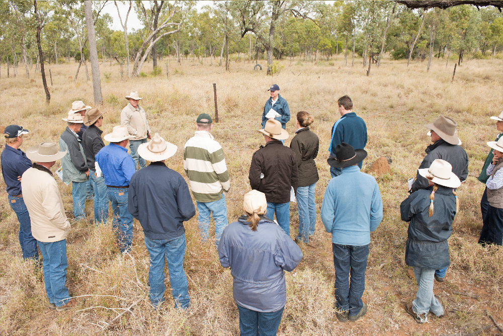 New Drought Grants To Boost On Farm Resilience DAFF