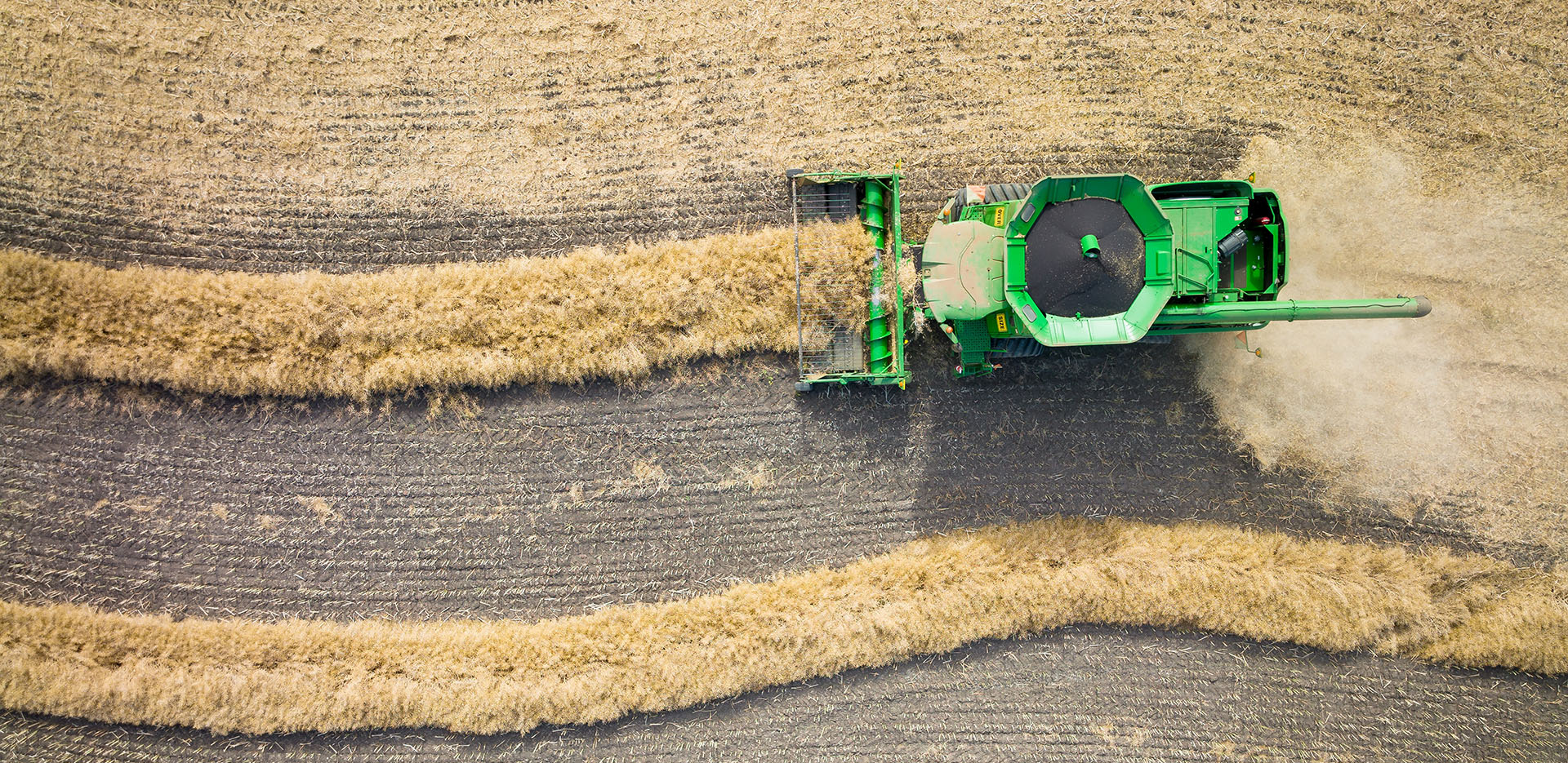 Tractor in a field of wheat