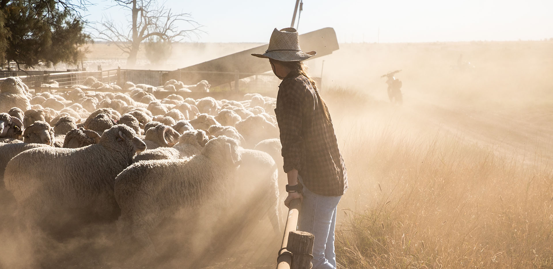 A young farmer with sheep