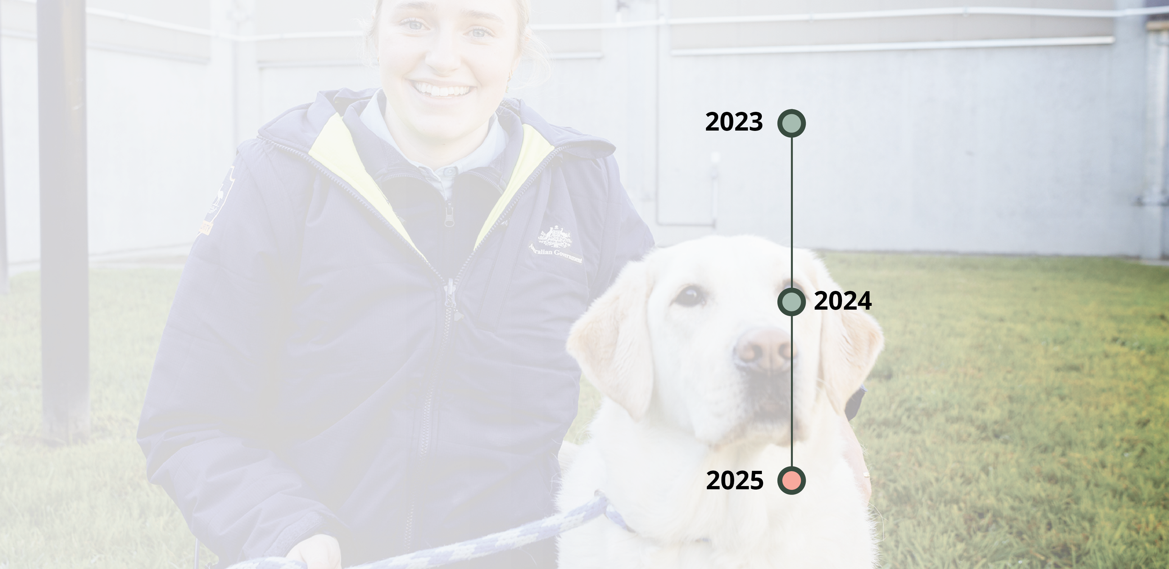 2025