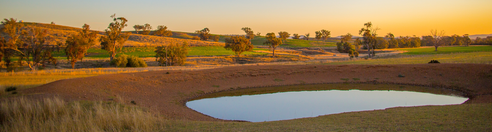 Image of a small dam in the middle of a paddock, with trees and some greenery, and soft light in the right corner