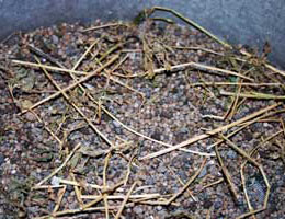 Fertiliser contaminated with plant matter