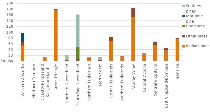 Softwood plantation area by National Plantation inventory region and major species. The Murray Valley region has the largest share of softwood plantations followed by the Green Triangle region.