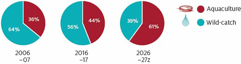 Shows historic trend of real (2021–22 dollars) gross value of production (GVP) of the aquaculture sector and the wild-caught sector from 2001–2002 to 2020–21, with forecasts for the outlook period 2021–22 to 2026–27.
Real GVP of the aquaculture sector trended upwards between 2001–2002 and 2019–20 (from $1.17 billion to $1.68 billion) and is estimated to increase in 2020–21 (to $1.84 billion) and forecast to increase in 2021–22 (to $2.16 billion), then decrease in 2022–23 (to $2.02 billion) and trend upwards between 2023–24 and 2026–27 (from $2.06 billion to $2.11 billion).
Real GVP of the wild-caught sector trended downwards between 2001–2002 and 2011–12 (from $2.75 billion to $1.54 billion), then trended upwards until 2018–19 (to $1.87 billion) and fell in 2019−20 (to $1.63 billion) and is estimated to fall in 2020–21 (to $1.48 billion) then forecast to remain relatively stable between 2021–22 and 2026–27 (from $1.39 billion to $1.37 billion).
