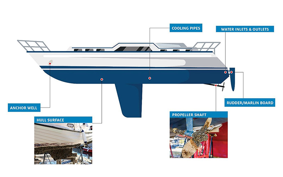 Diagram of a boat with various parts labelled as "high-risk" for biofouling, including the anchor well, the hull surface, the cooling pipes, the water inlets and outlets, the rudder/marlin board and the propeller shaft.