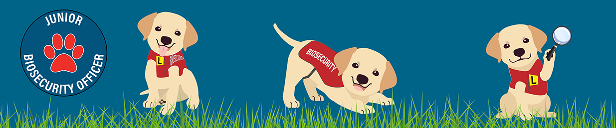 Banner - cartoon images of biosecurity puppies playing and a circled icon with a paw print in the centre, saying "junior biosecurity officer"