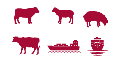Livestock production and export value remains high in 2020-21
