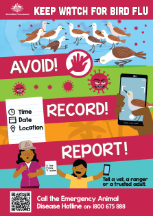 keep watch for bird flu poster thumbnail