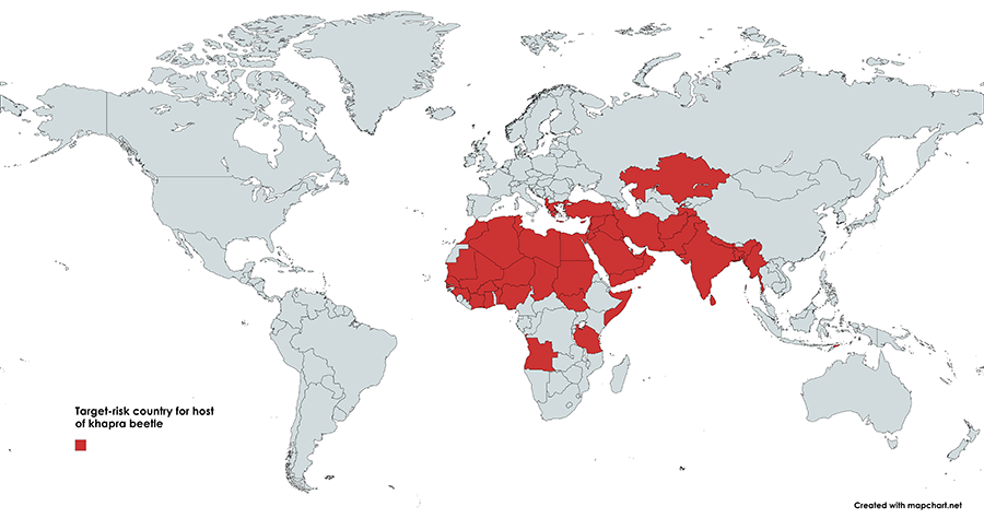 World Map with Khapra beetle target countries shaded in red - they are: Afghanistan, Albania, Algeria, Angola, Bangladesh, Benin, Burkina Faso, Chad, Côte d’Ivoire (Ivory Coast), Cyprus, Egypt, Ghana, Greece, Guinea, India, Iran Islamic Republic of, Iraq, Israel, Jordan, Kazakhstan, Kuwait, Lebanon, Libya, Mali, Mauritania, Morocco, Myanmar, Nepal, Niger, Nigeria, Oman, Pakistan, Qatar, Saudi Arabia, Senegal, Somalia, South Sudan, Sri Lanka, Sudan, Syrian Arab Republic, Tajikistan, Tanzania, Timor-Leste, Tunisia, Turkey, United Arab Emirates, Yemen