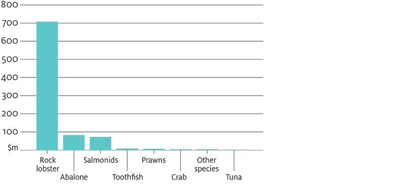 Of the three product groups exported to China in 2018–19, rock lobster exports makes up the majority of value, around $700 million compared with less than $100 million for abalone and salmonids.