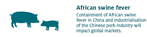 Containment of African swine fever in China and industrialisation of the Chinese pork industry will impact global markets.