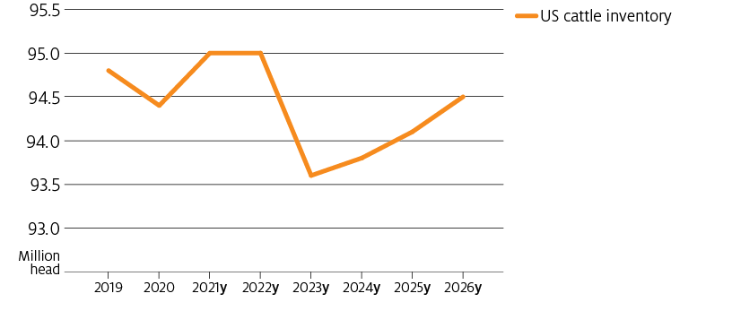 US herd projections steady through 2021 and 2022, then decrease sharply to 2023 before a steady increase from 2023 to 2026.