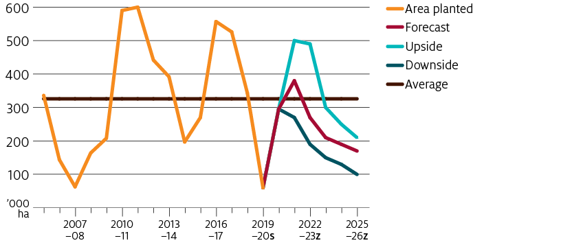 In an upside scenario, cotton area is forecast to grow rapidly in 2021-22, remain at the high level in 2022-23, then fall over the medium term. In a downside scenario, cotton area is forecast to fall over the short and medium term.