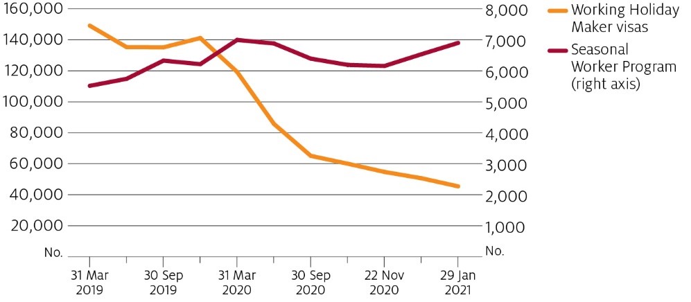 The number of working holiday makers in Australia fell by 64% in 2020 to around 61,000. The number of seasonal workers fluctuated between around 6,000 and around 7,000.