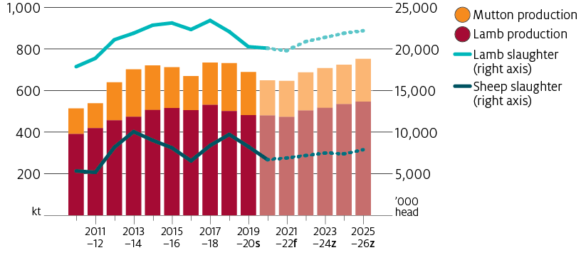 Lamb and mutton production and slaughter are forecast to increase over the projection period as the national flock increases.