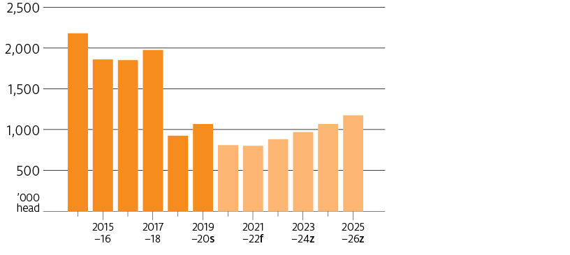 The volume of live exports is projected to decrease in the short term before increasing in the medium term to 2025–26. The increase in live exports is in line with the increase in the national flock.