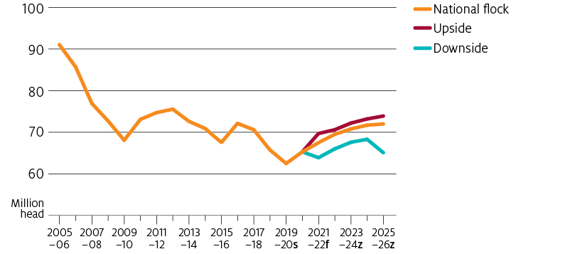 The national sheep flock is forecast to rise over the outlook period to 2025-26. Within the upside macroeconomic and seasonal scenario, the flock would increase more rapidly in the short term before plateauing by 2025-26. Alternatively, the downside scenario would see flock numbers maintained and delayed restocking until mid-way through the outlook period. Restocking would be slow and a dry year to end the outlook period would see flock numbers barely higher than in 2020-21.