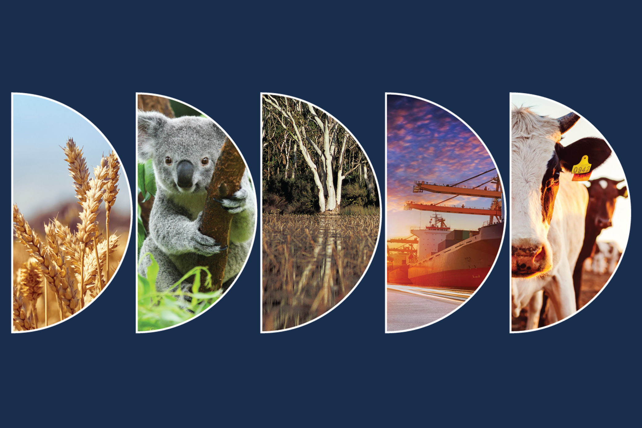 National Biosecurity Strategy Implementation Plan launches - DAFF