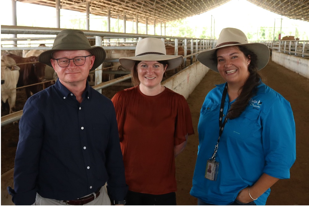 World Veterinary Day 2023 Strengthening engagement across Northern