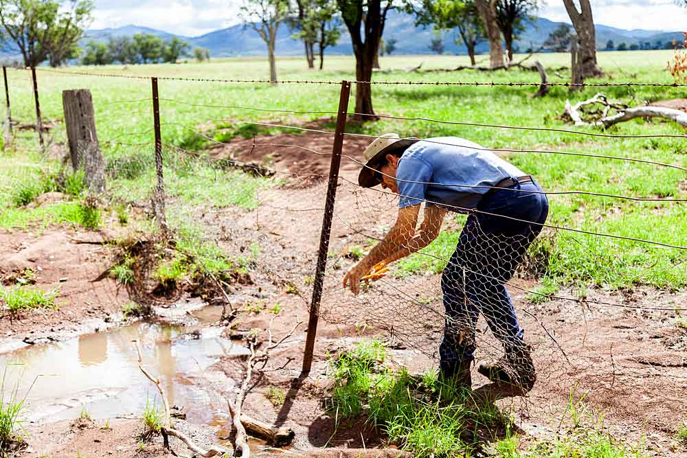 Support For Flood affected Farmers DAFF