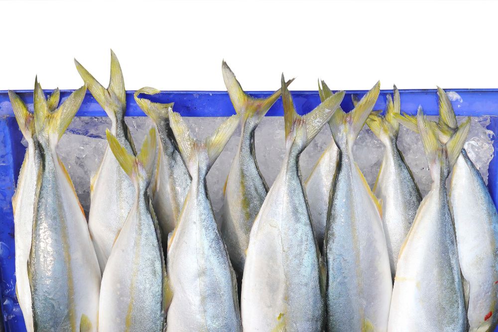 Analysis – Opportunities for Australian Seafood Exports under the A-UKFTA - DAFF