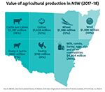 Value of agricultural production in Victoria (2017-18) infographic large version infographic
